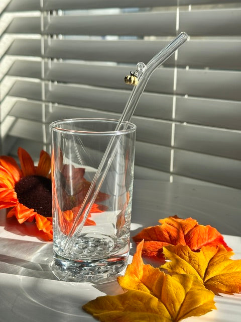 Pumpkin Charm Glass Straw