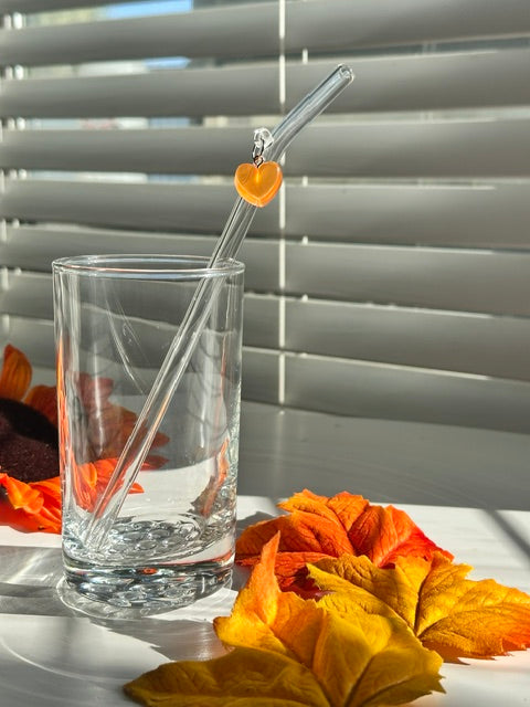 Pumpkin Spice Heart Candy Charm Glass Straw